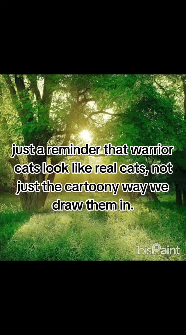 @•~×``Kat the cat``×~•
