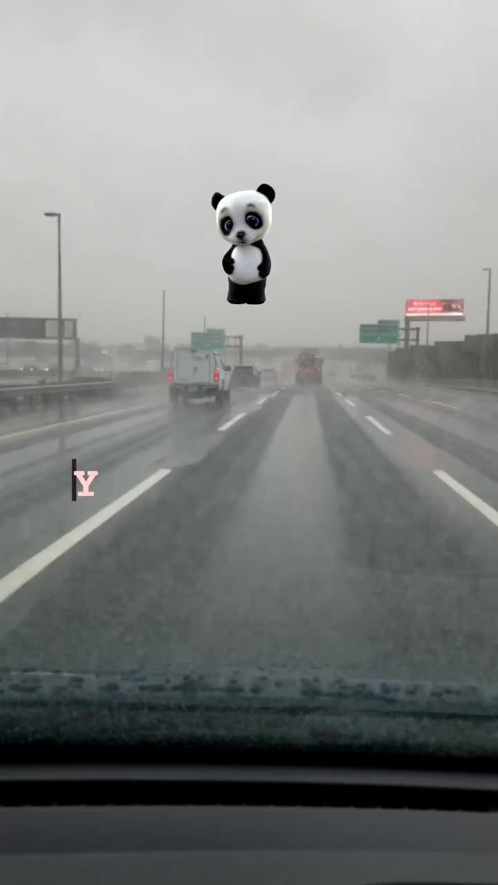 @el panda solitario