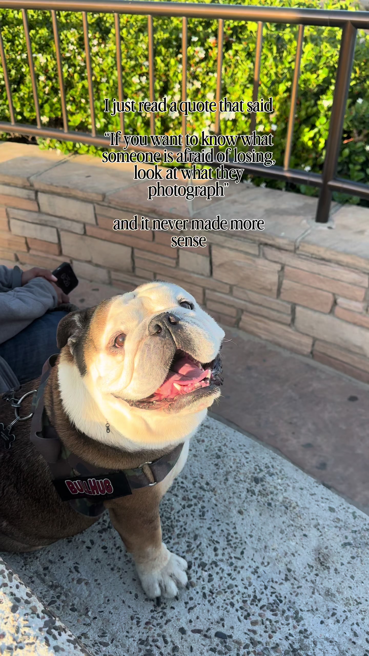 @Taco 🐶🧿