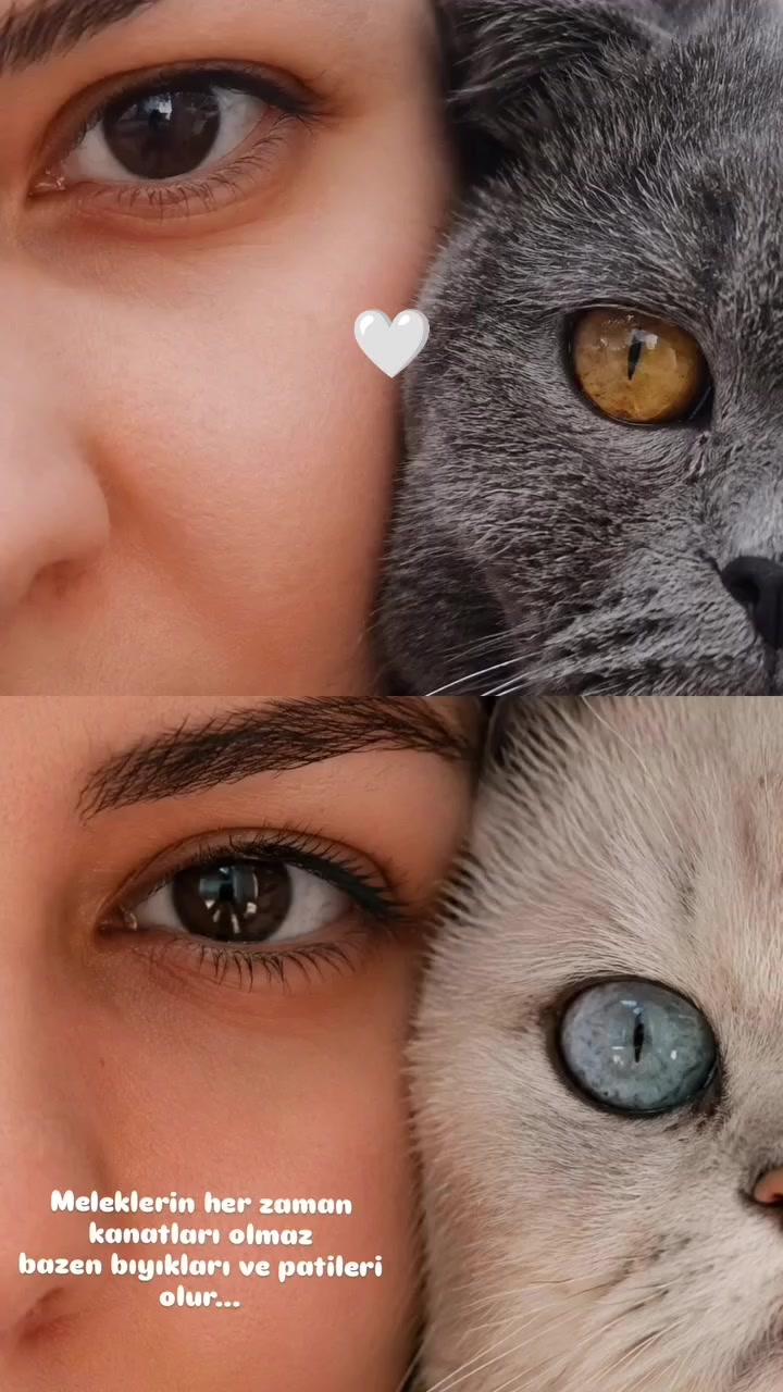 @🌼MİNE🌼