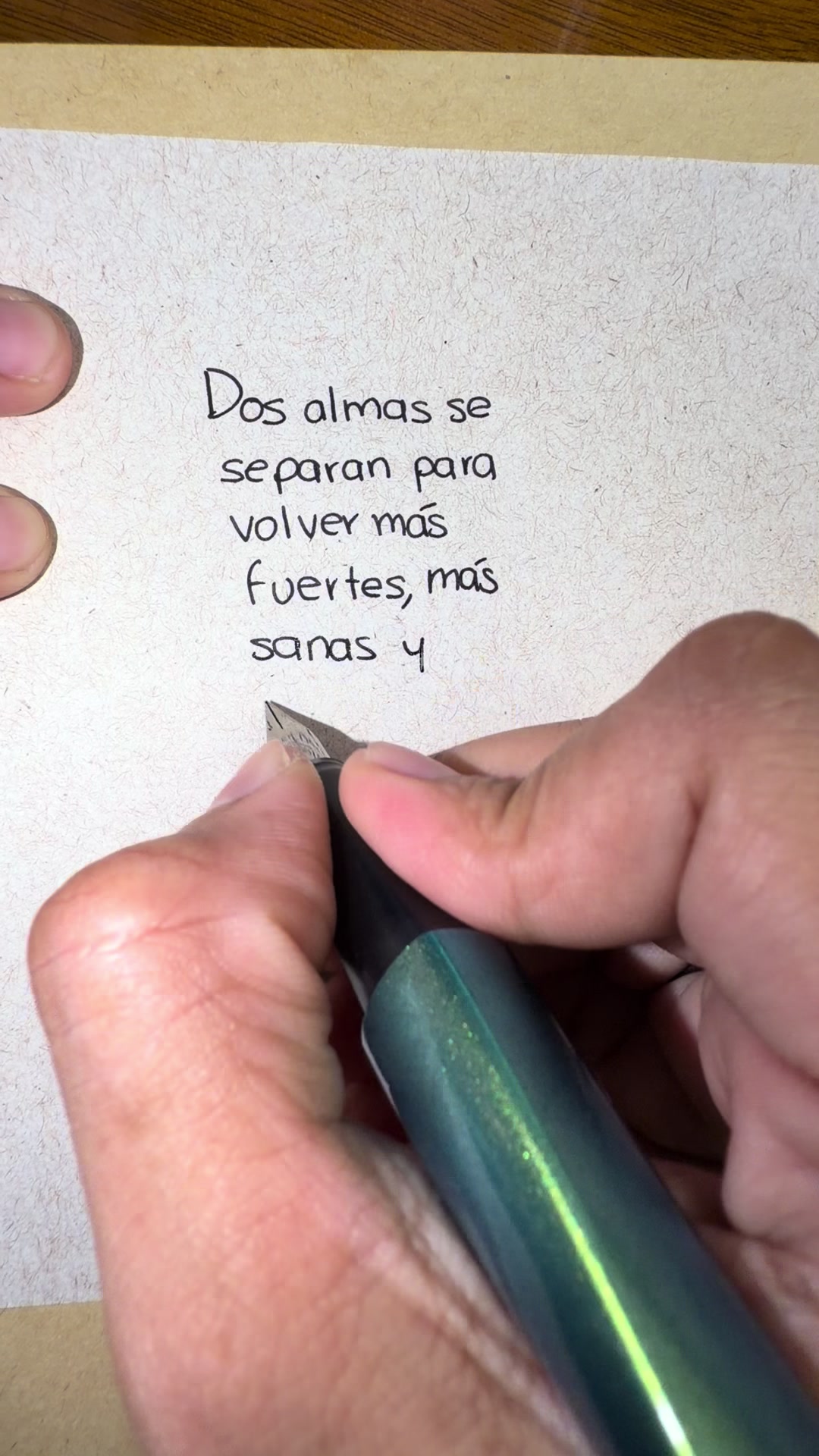 @crisfecnotas🌙