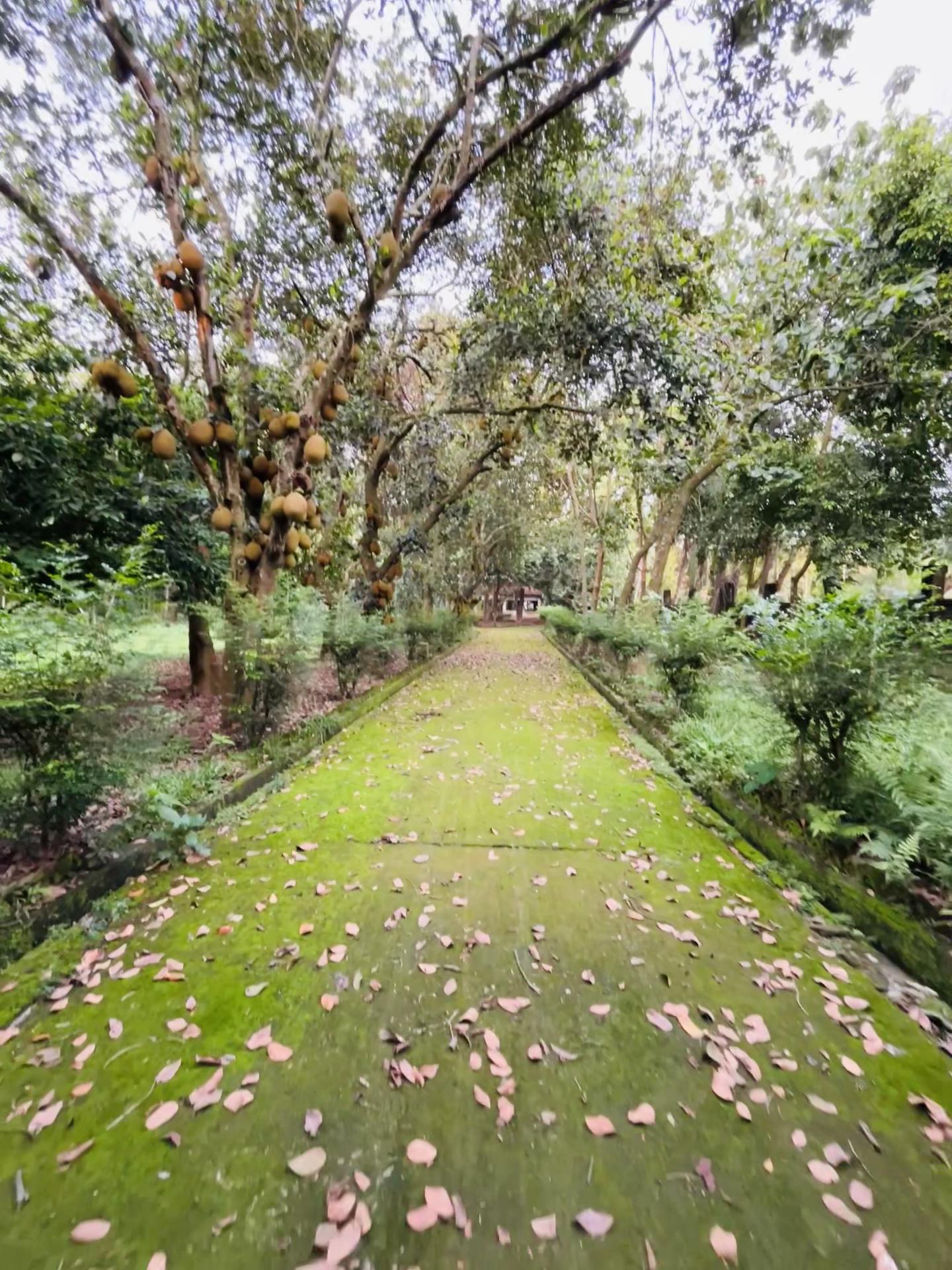 @ফু'ল🌷