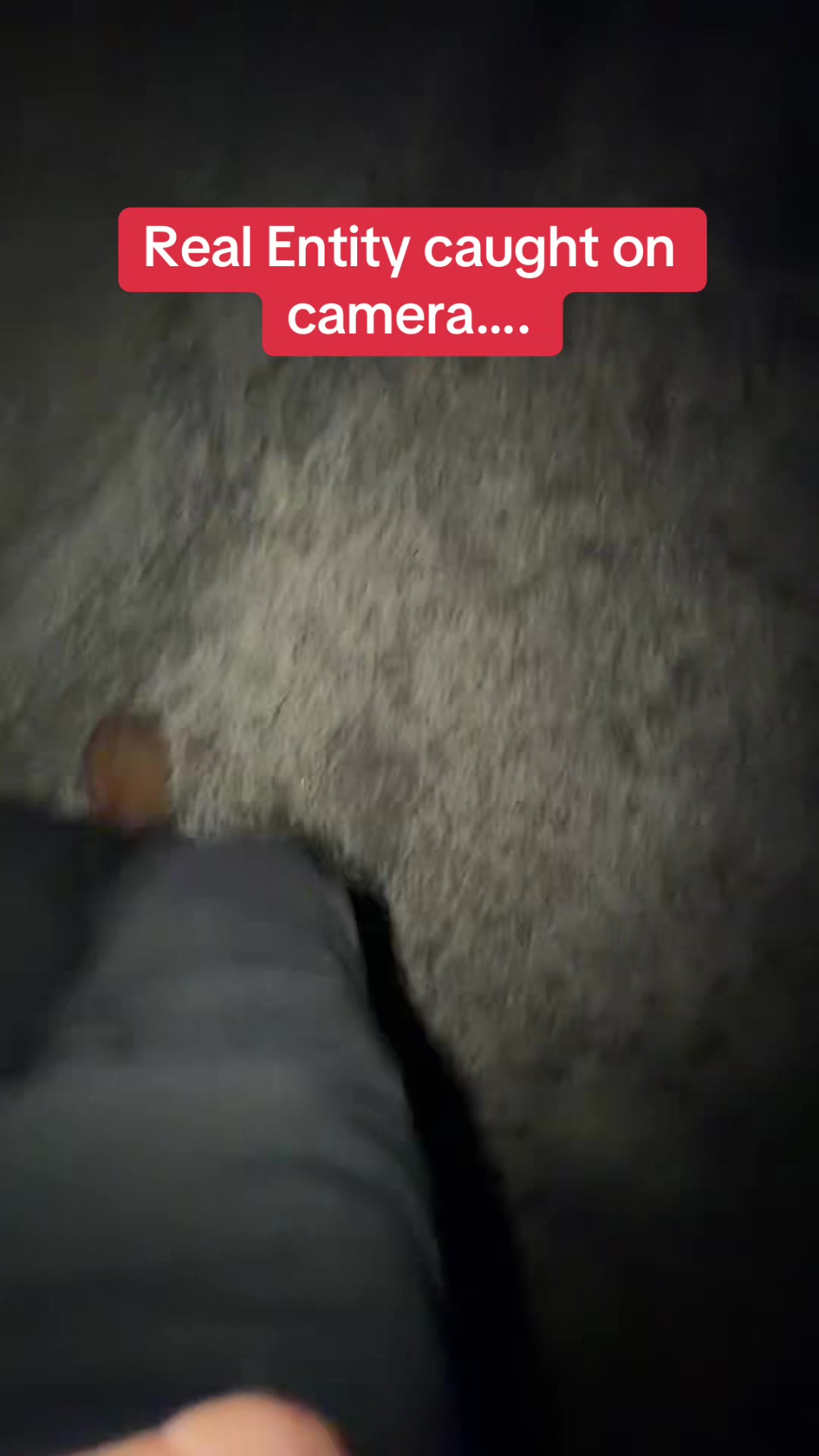 @l_u_c_e_r_o_117