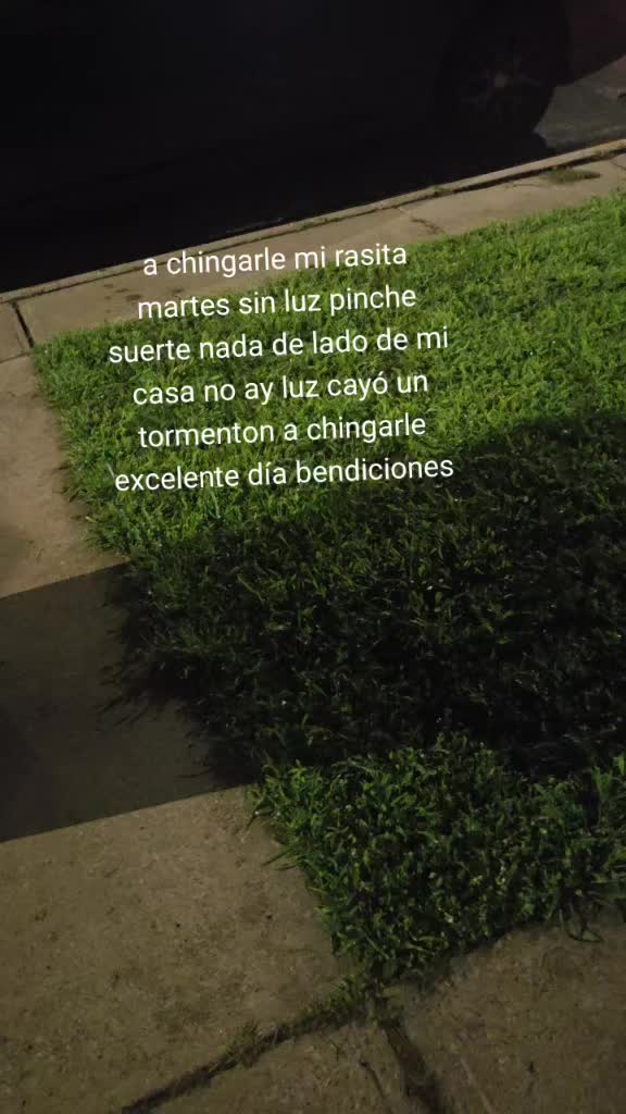 @omarolmos215 chilanguito