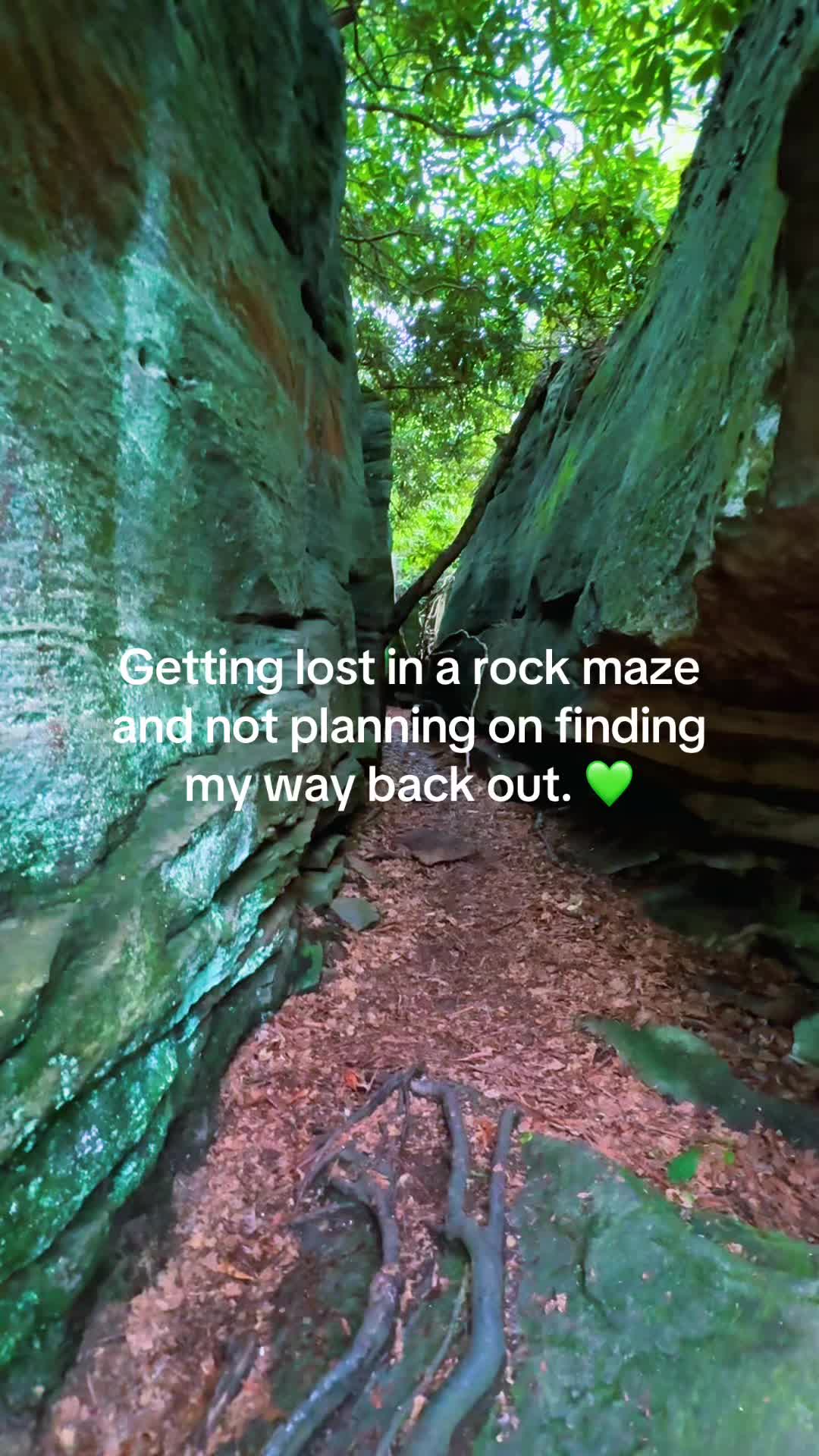 @th0vy