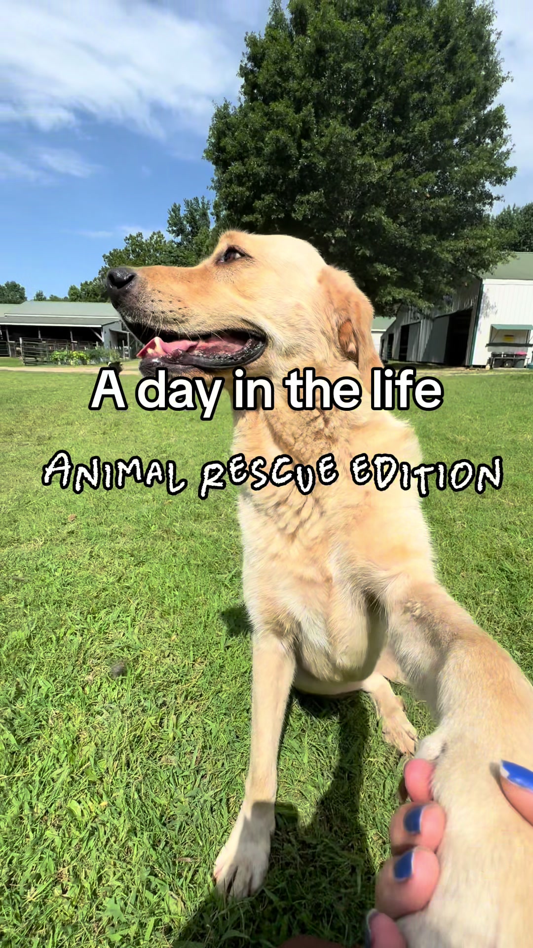 @Kayleigh | Animal Welfare
