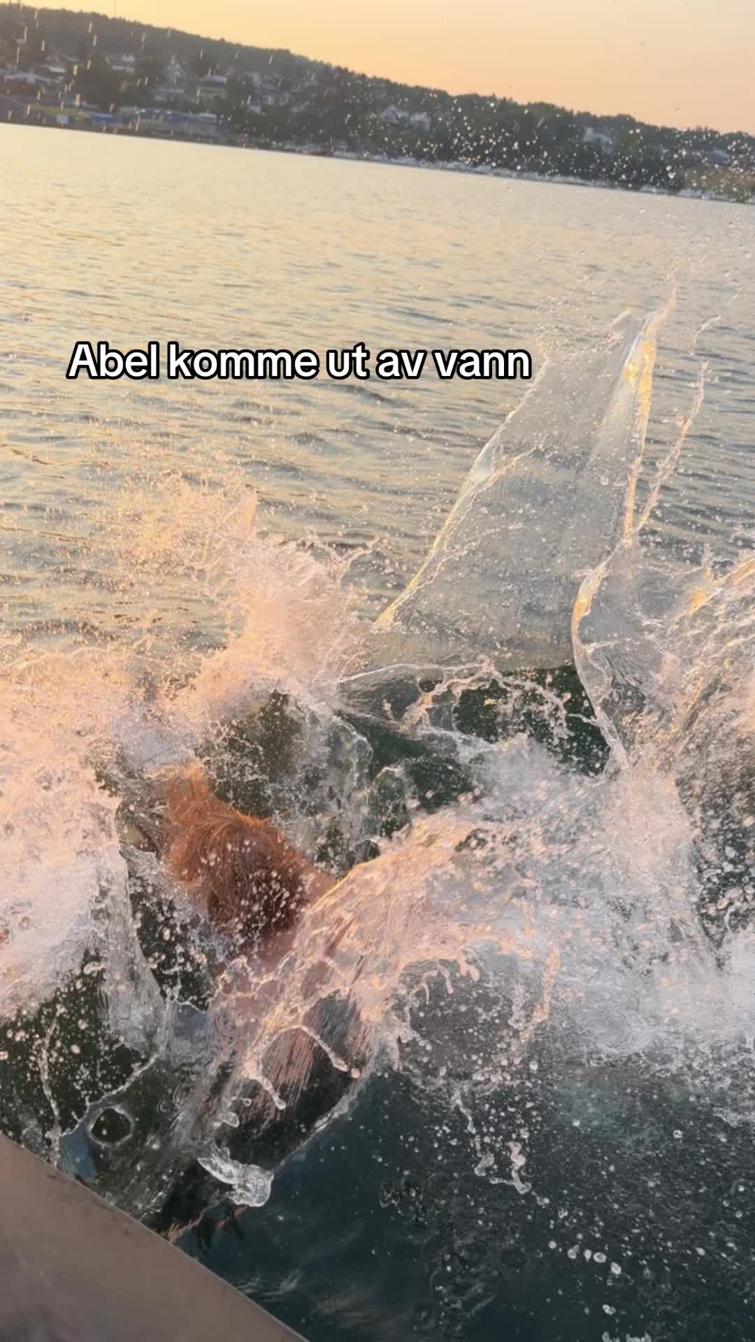 @Isbjørn