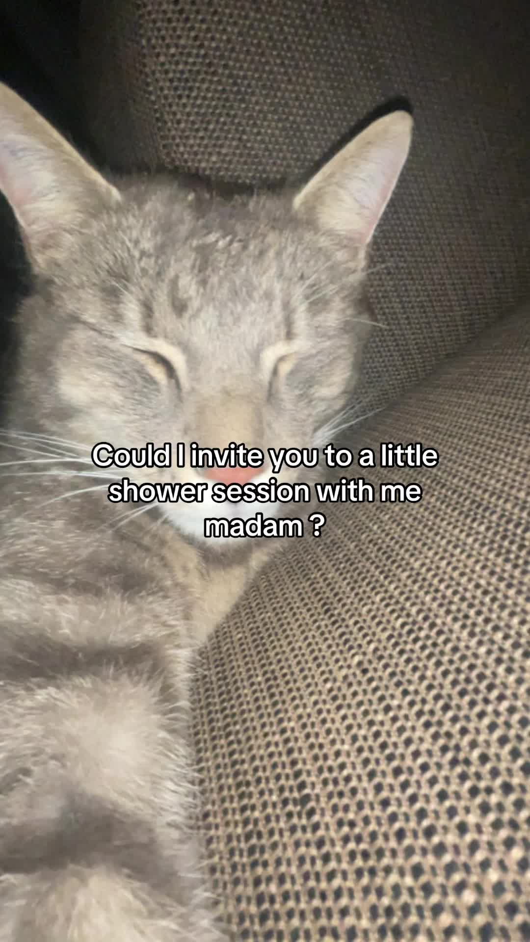 @Micky