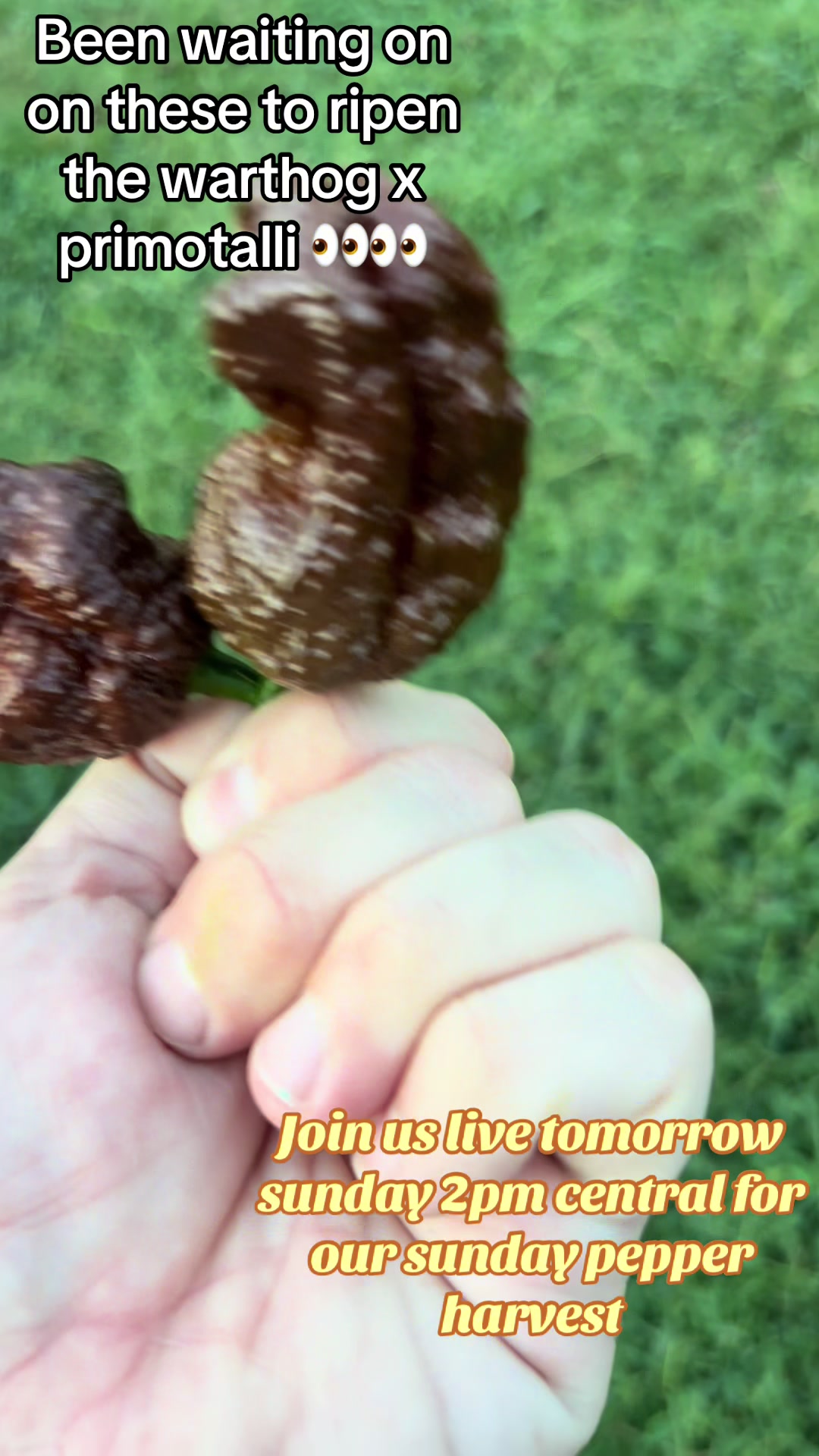 @Jdeaththepepperguy 🌶️AGX🌶️🌱
