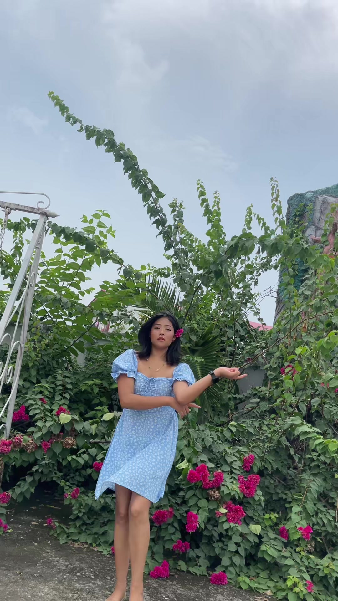 @<ও ┊ Dollu ! ᥫ᭡