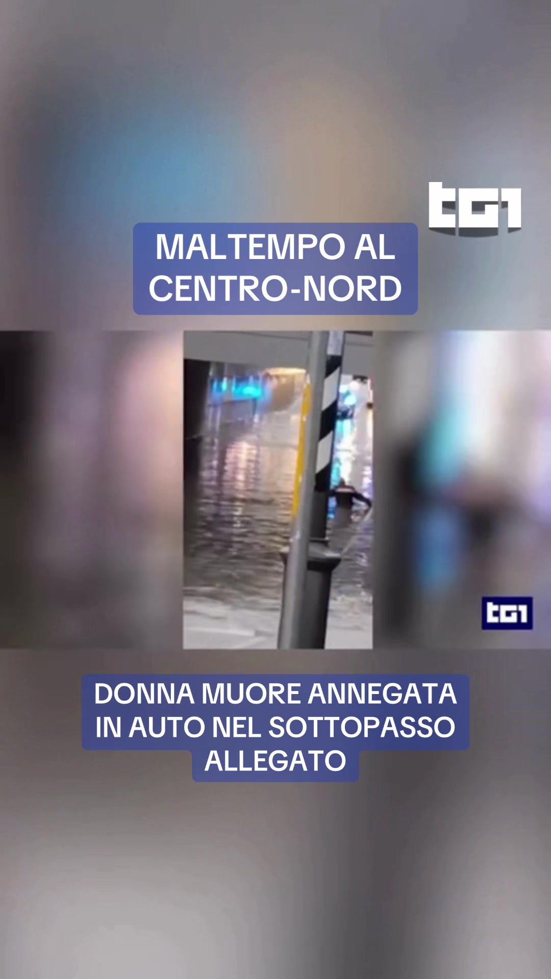 @Tg1Rai
