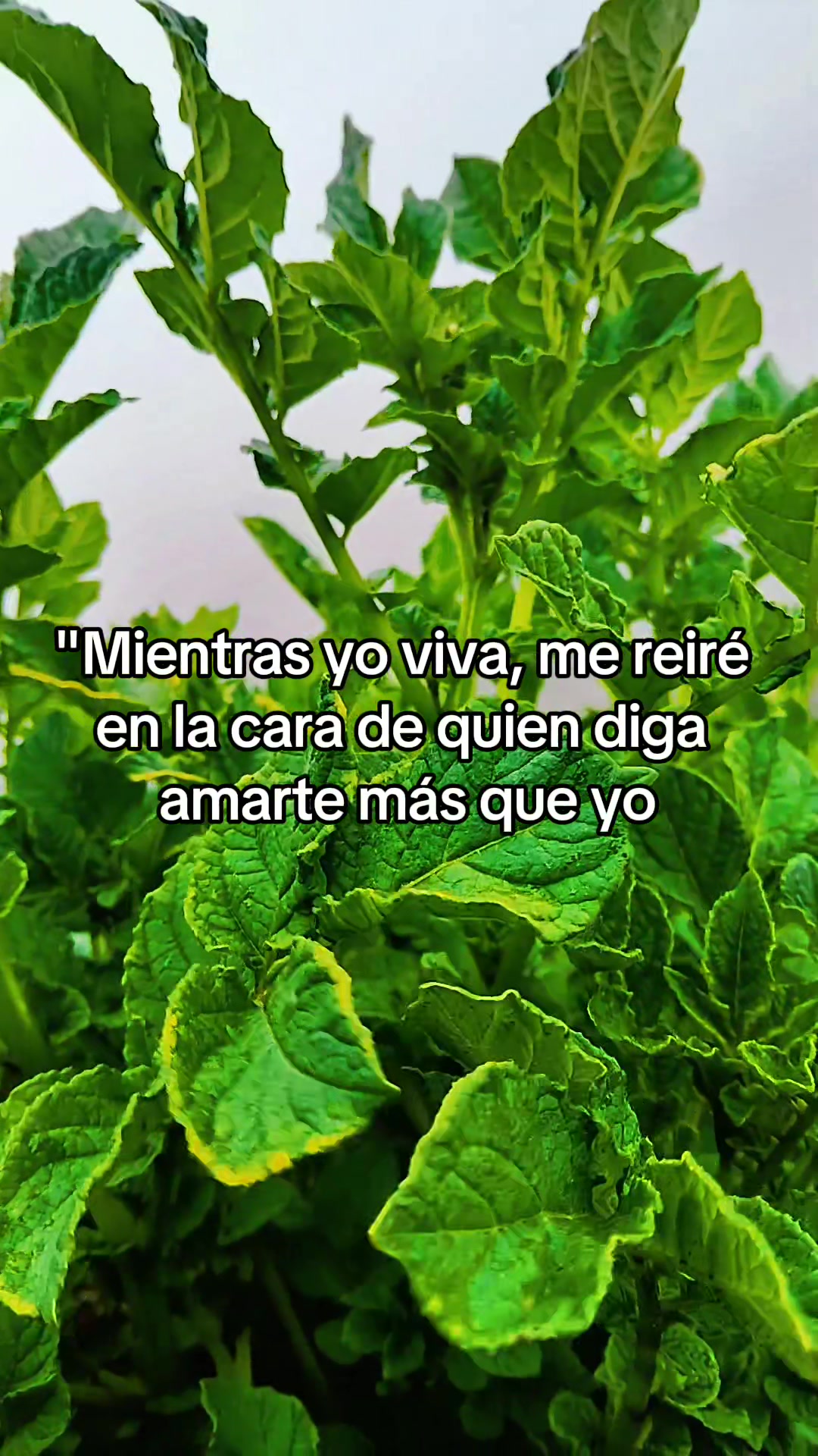 @😍quelindha😍