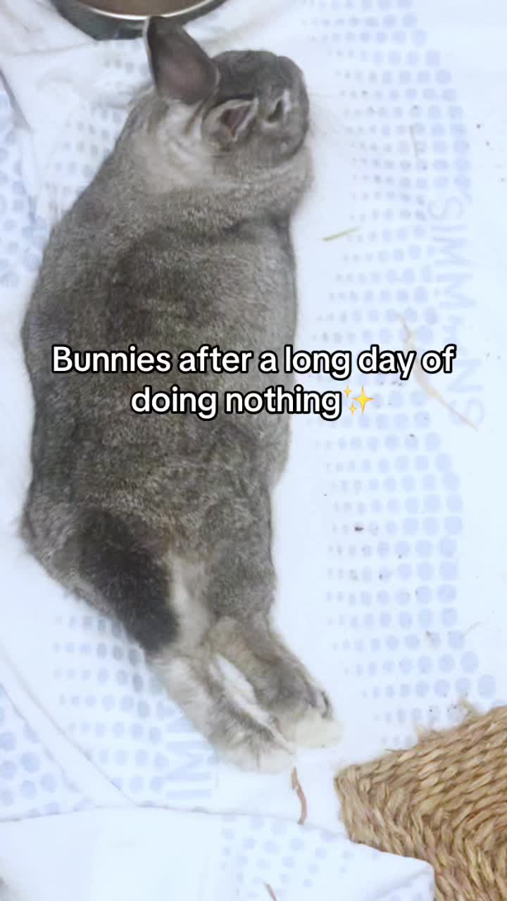 @interestinglilcreature