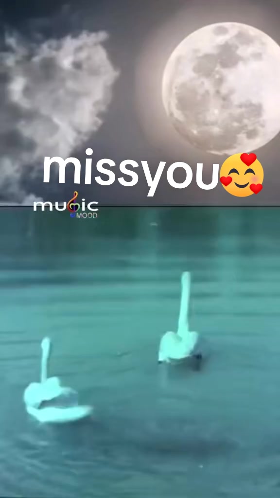 @ALISHAXeTrii