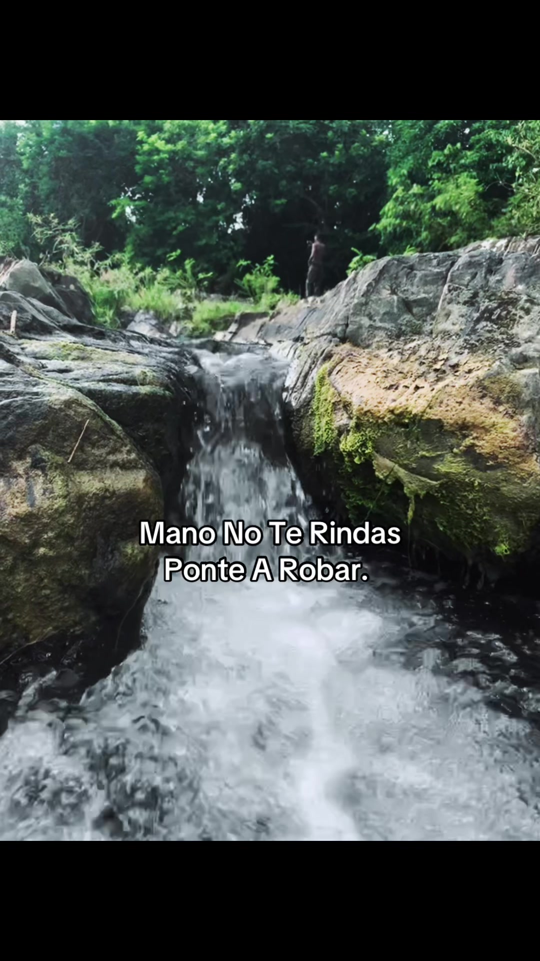@𝓑𝓲𝓯𝓸 
