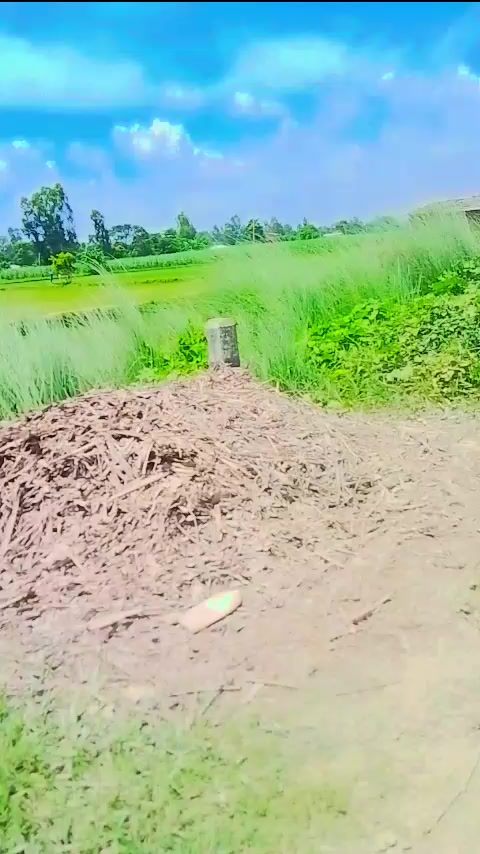 @$❤️Bishnu❤️ love ❤️