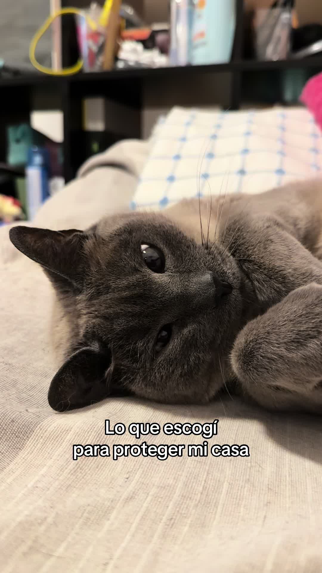 @Miiya Rage