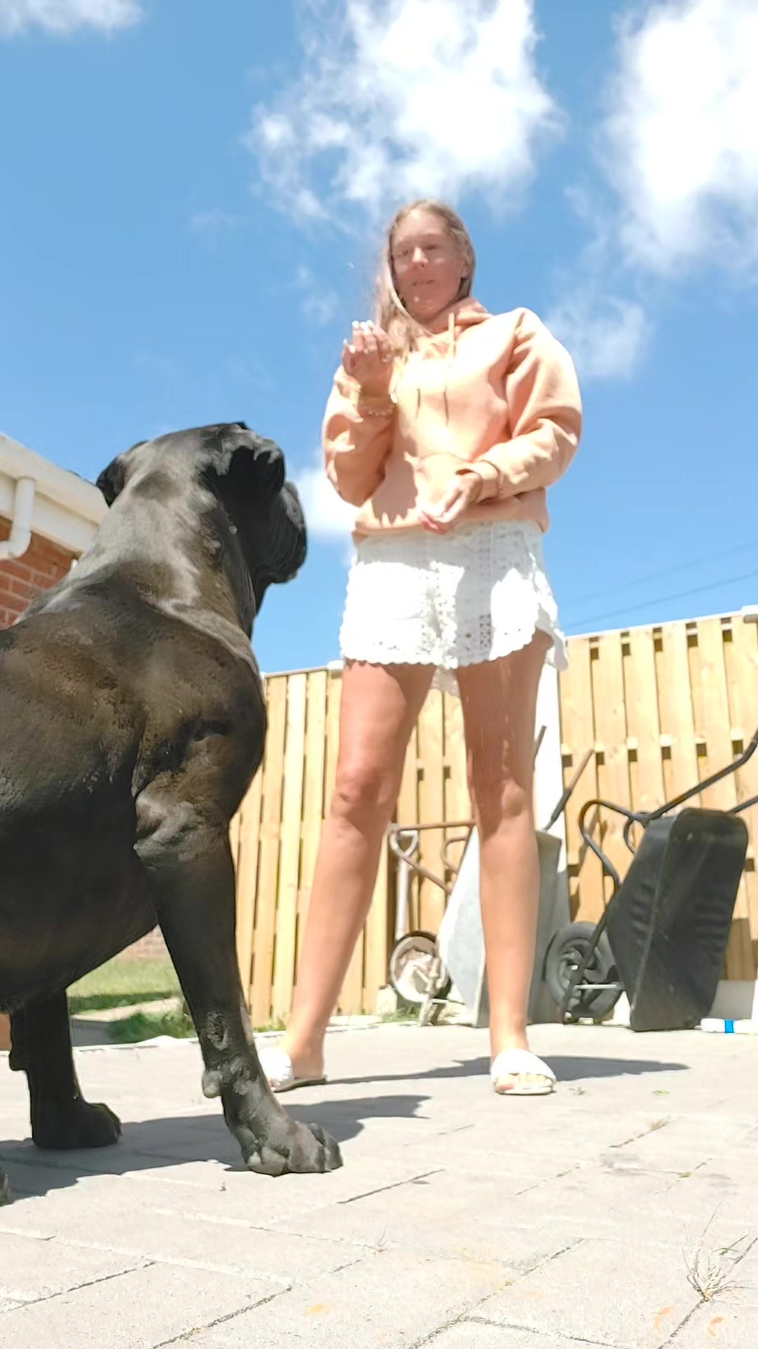@Canecorspuppy
