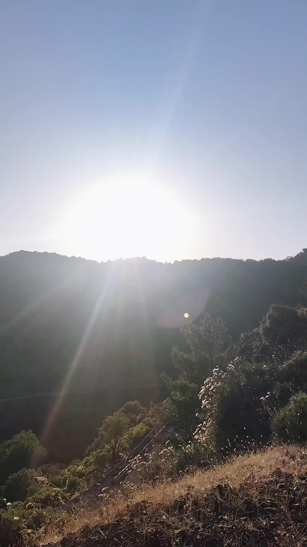 @sunita Rani