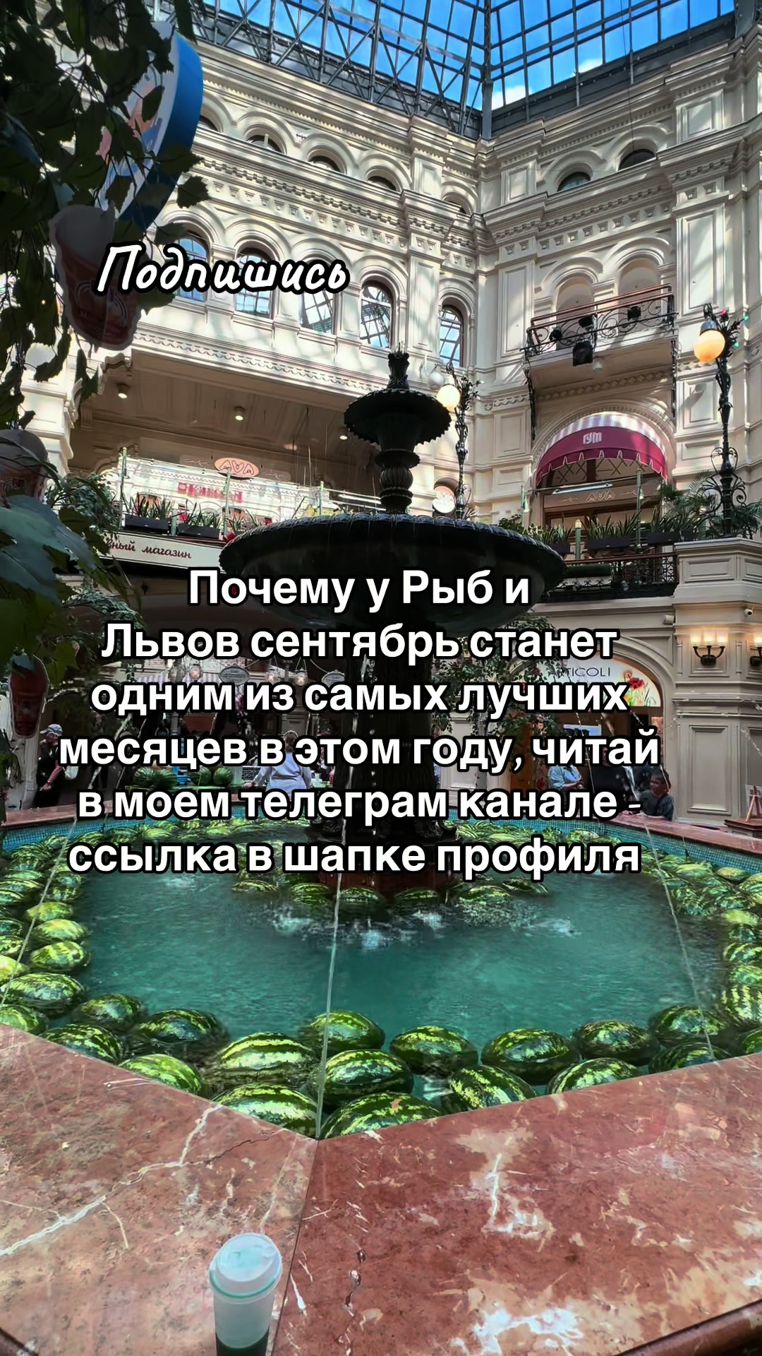 @stoforiadi_olga