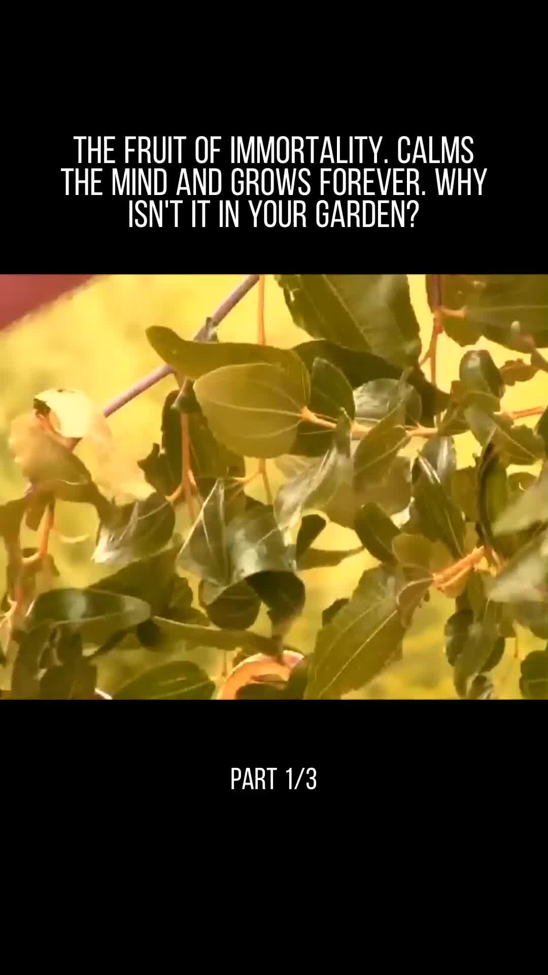 @user32331650853717