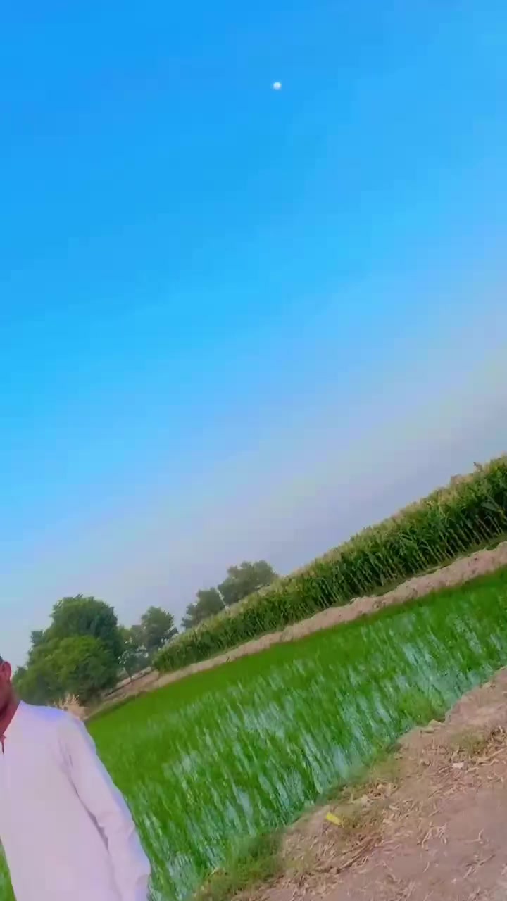@عمر راجپوت ✨