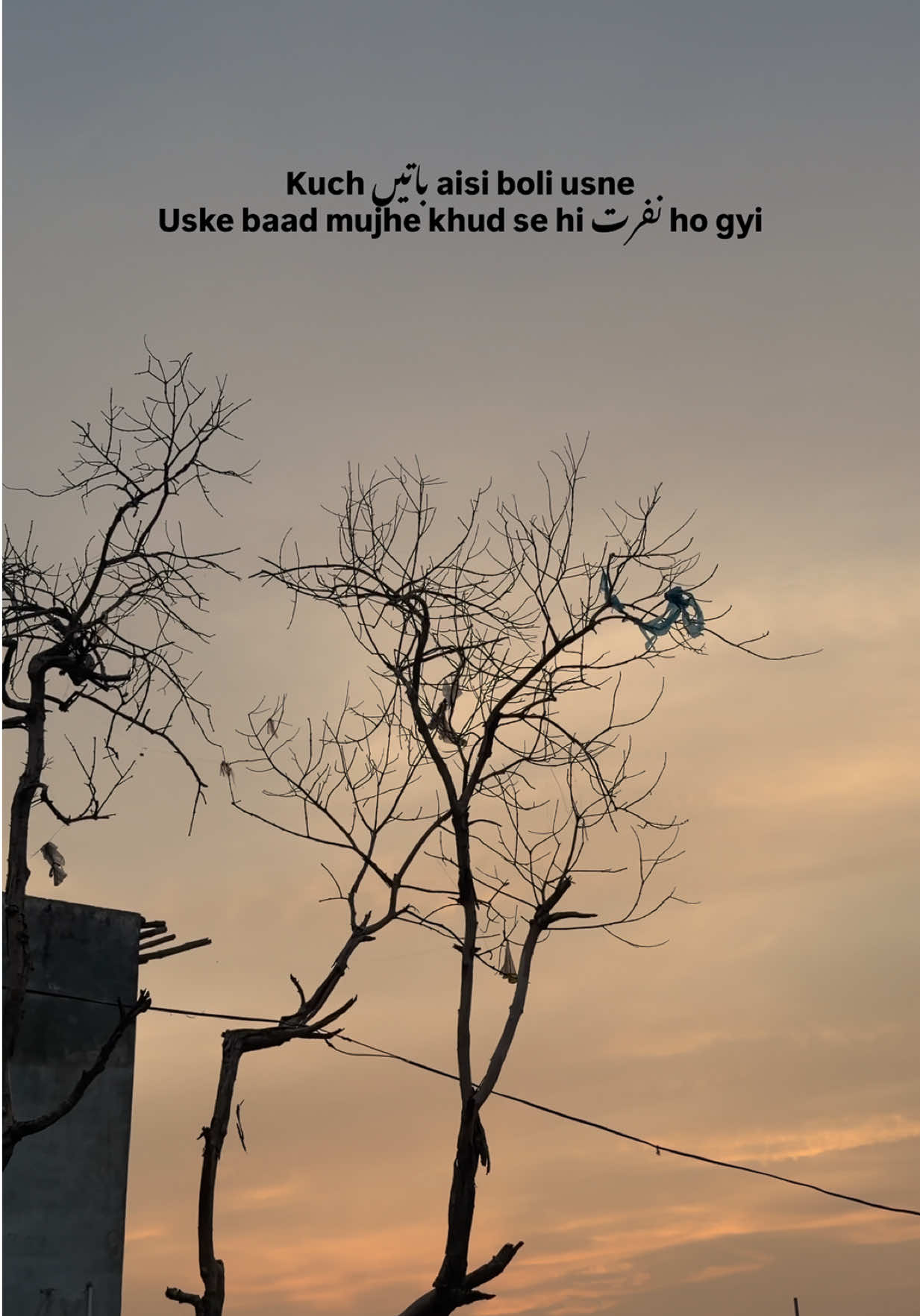 @𝙎 𝘼 𝙍 𝘼 𝙃 🚩