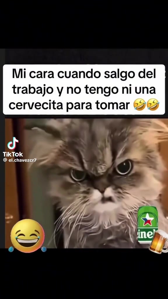 @johannagonzalez595