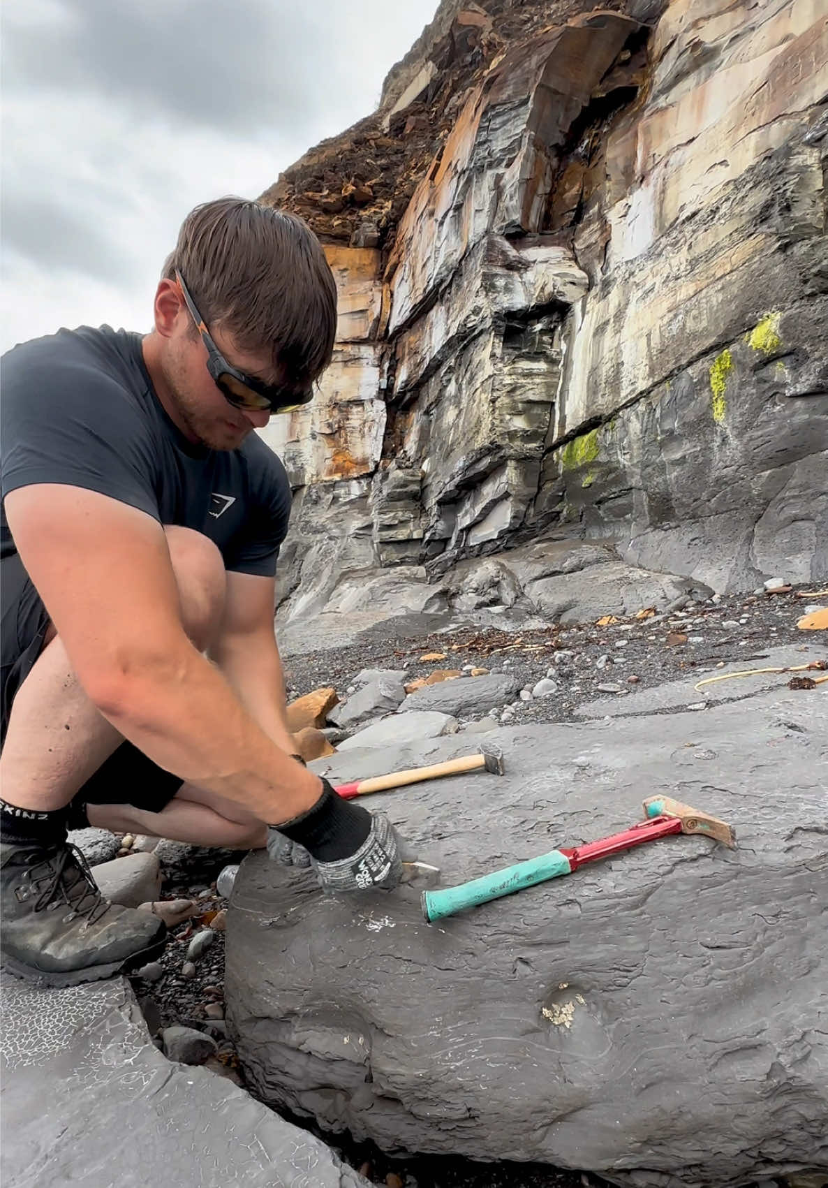 @yorkshire.fossils