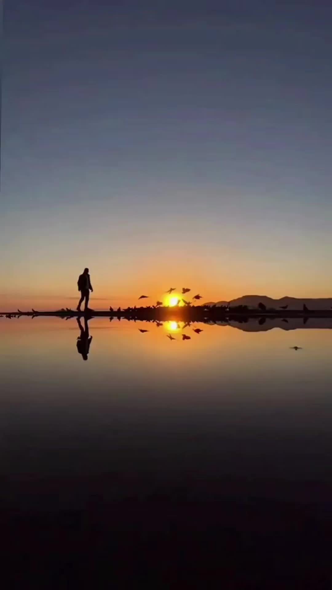 @musa bhai004