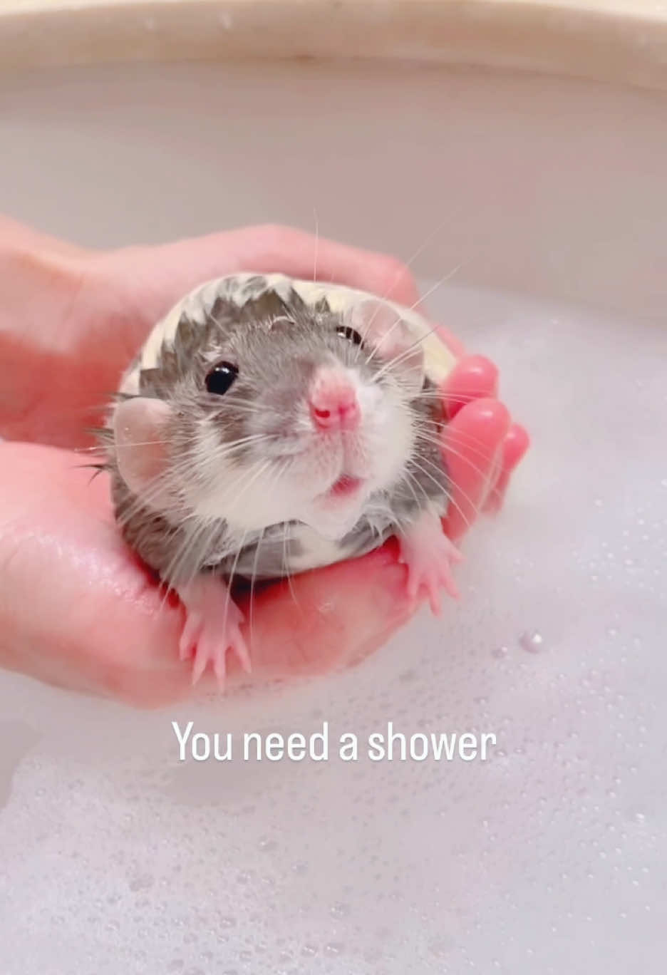 @RatsHaveFeelingsToo