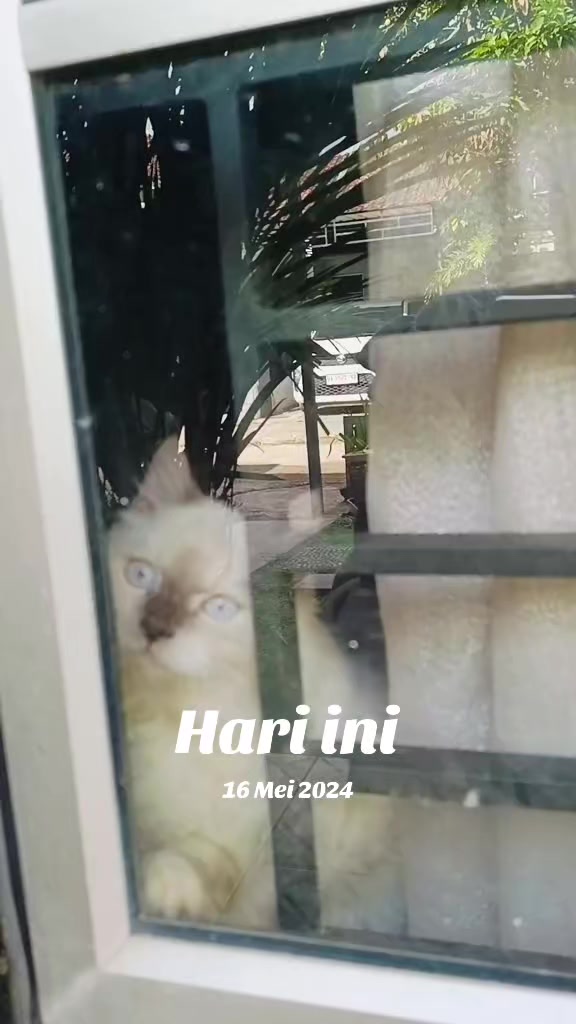 @Izhna Wiratama
