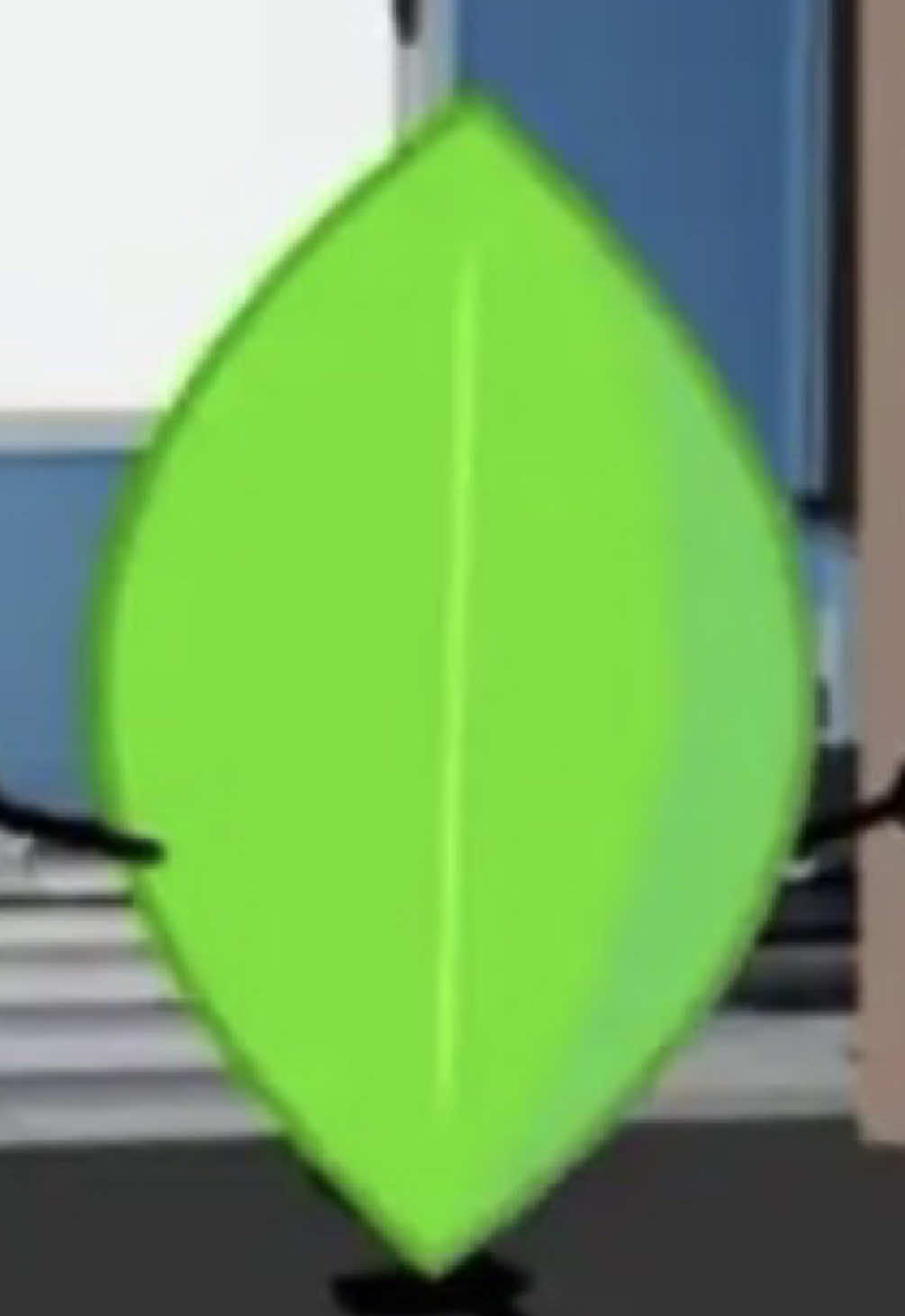 @キ ⋆. 𐙚 pixel  ♡s leafy !