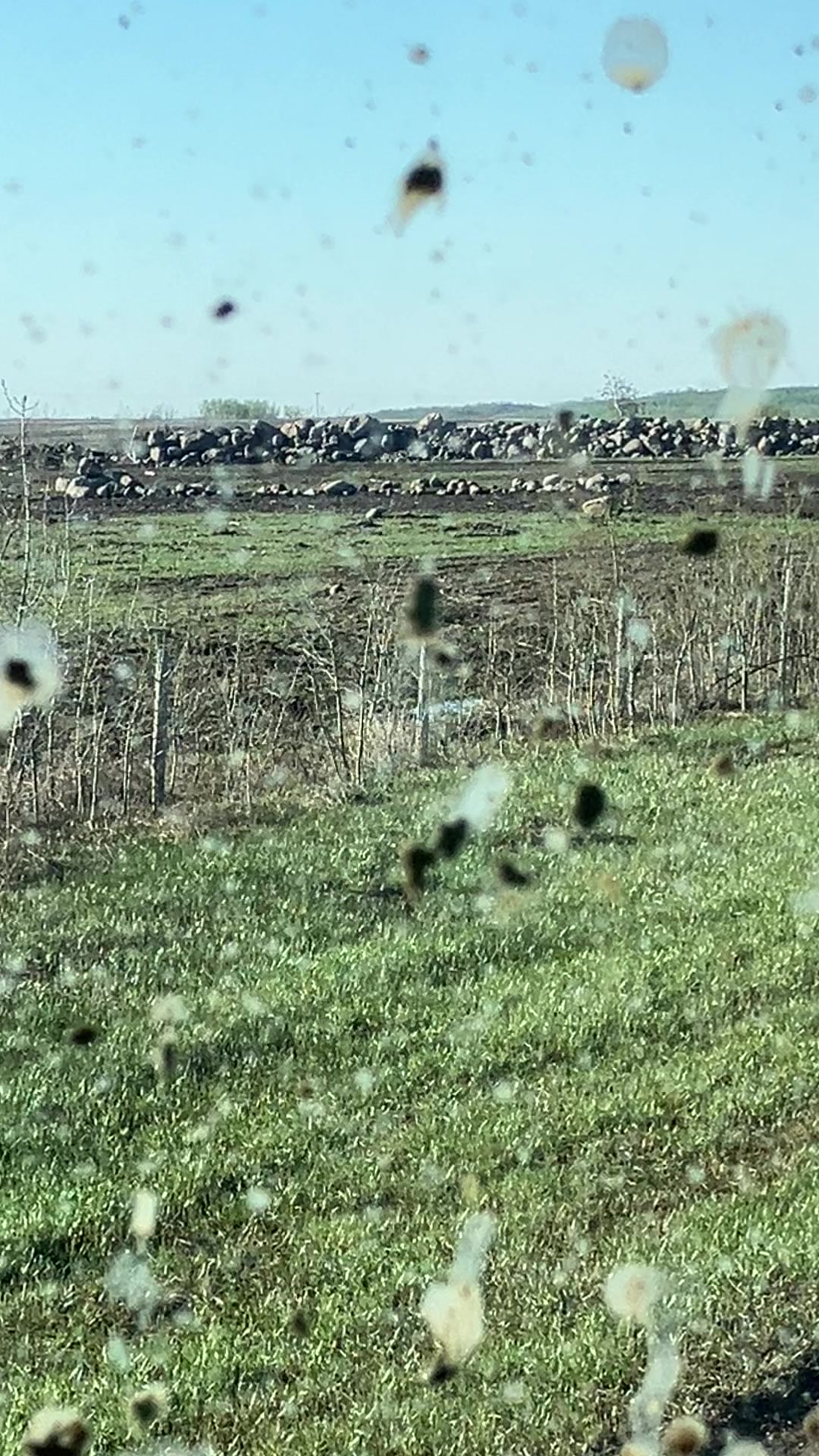 @bf48farmer