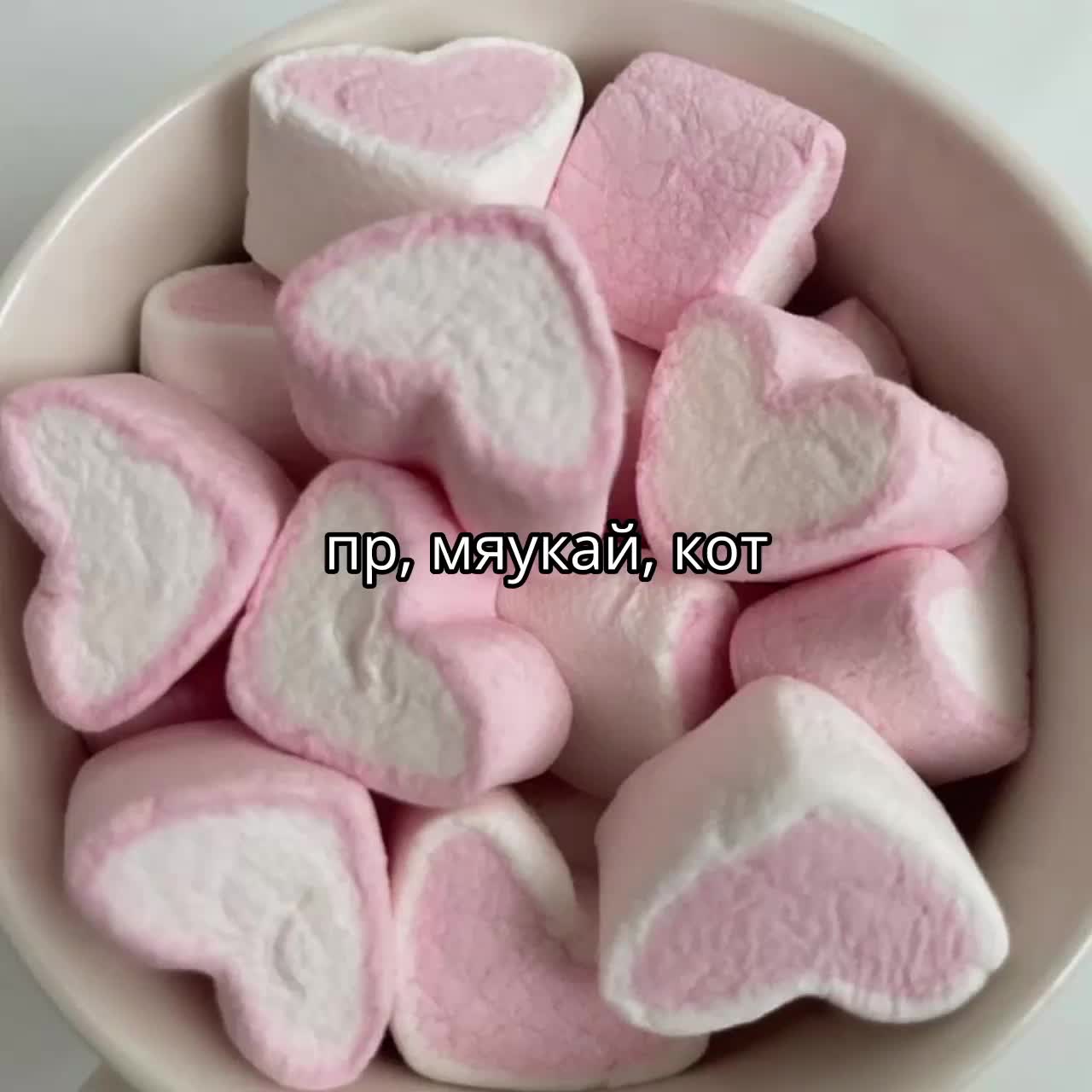 @plplpl