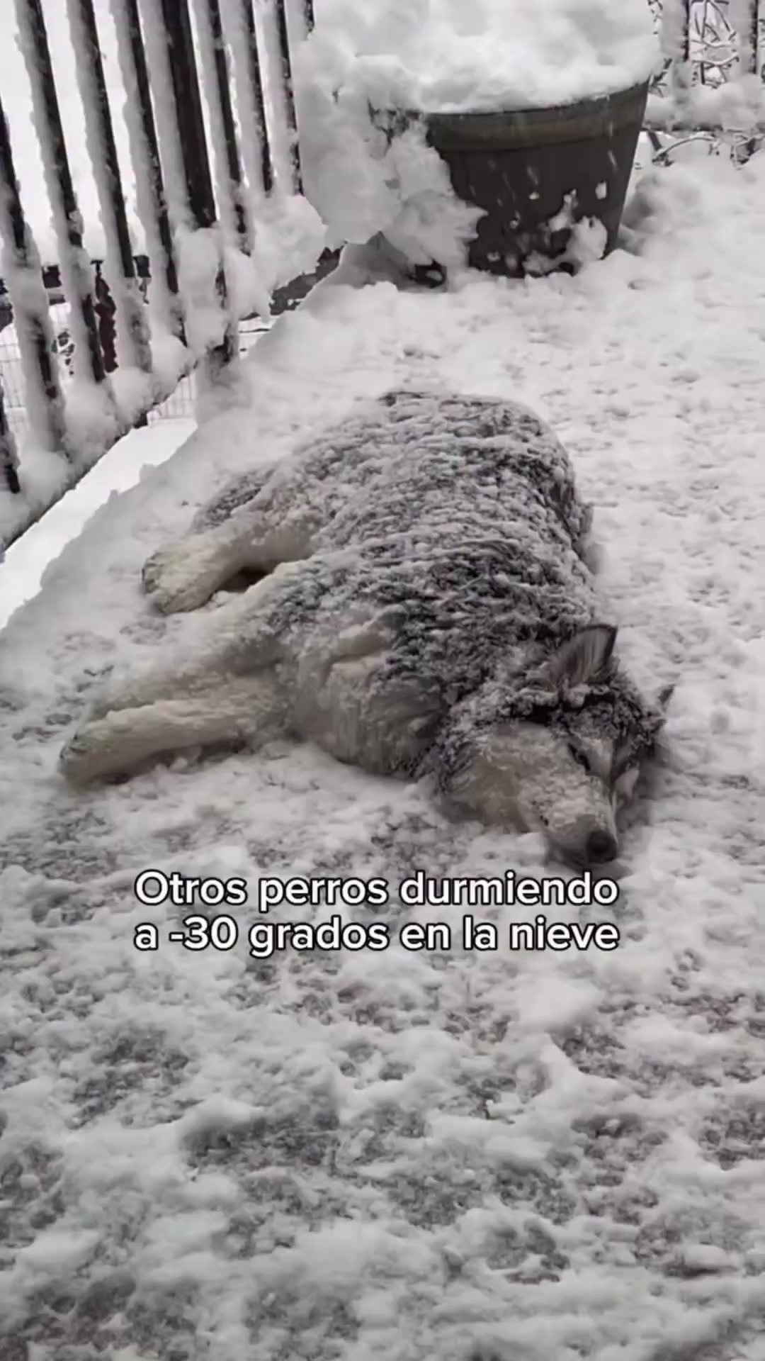 @Tere