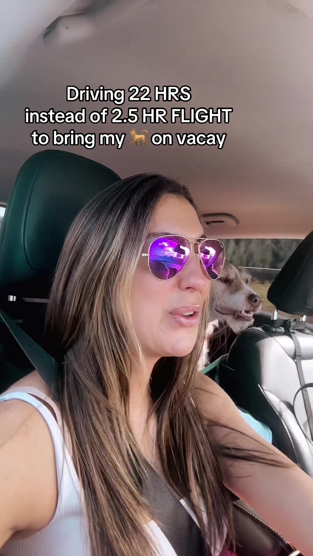 @Workoutdogmomlive