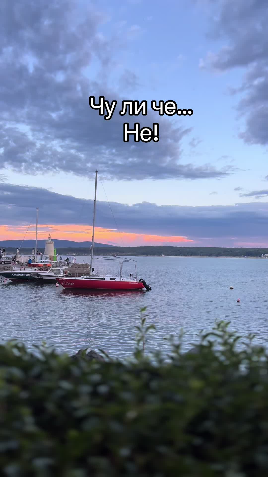 @ivelinakishev