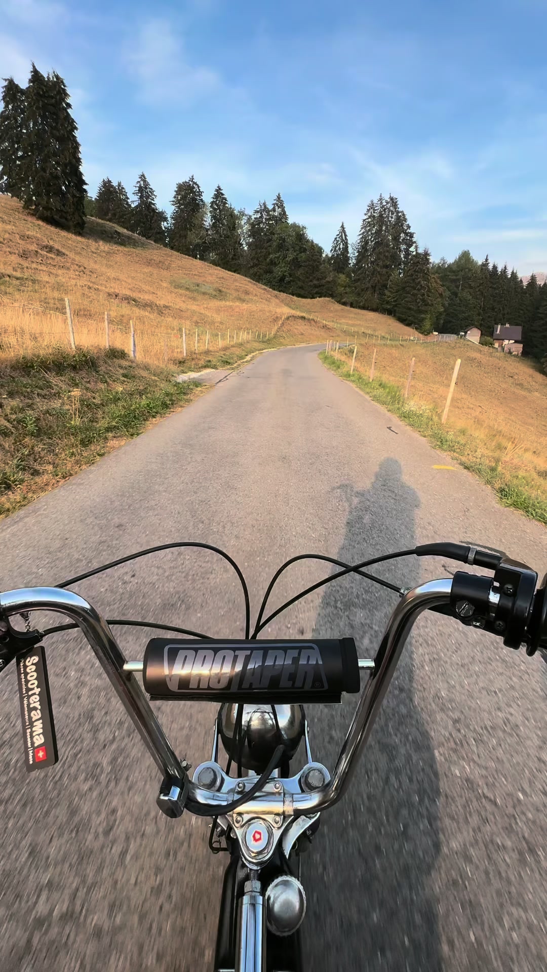 @Black_Puch_swiss
