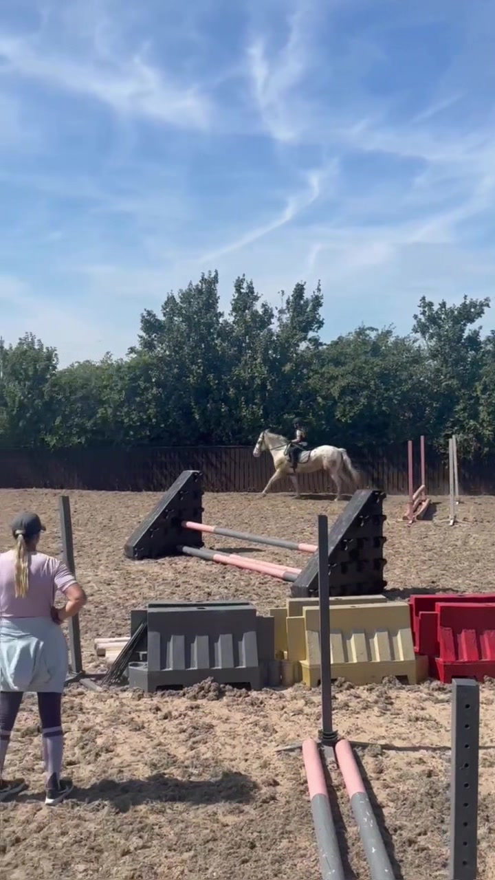 @LottiesHorseAdventures🦄🐴