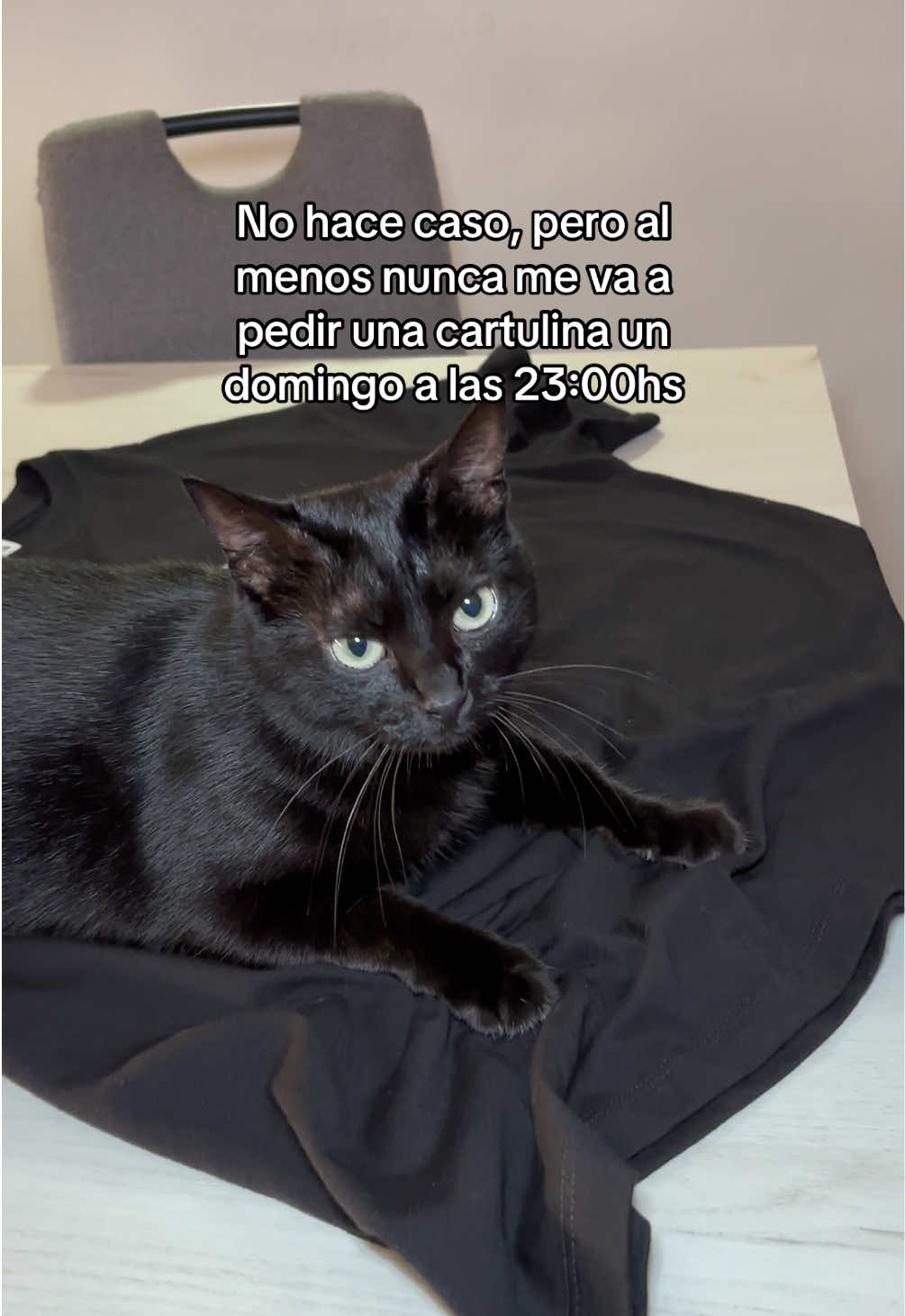 @BlackCatsMatter