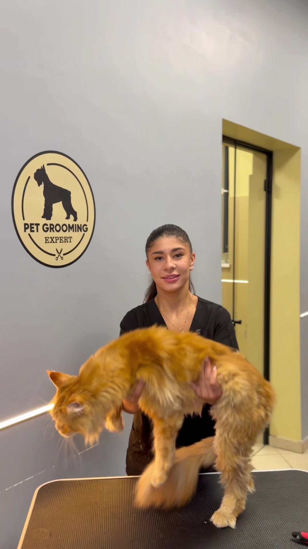 @PetGroomingExpert.md