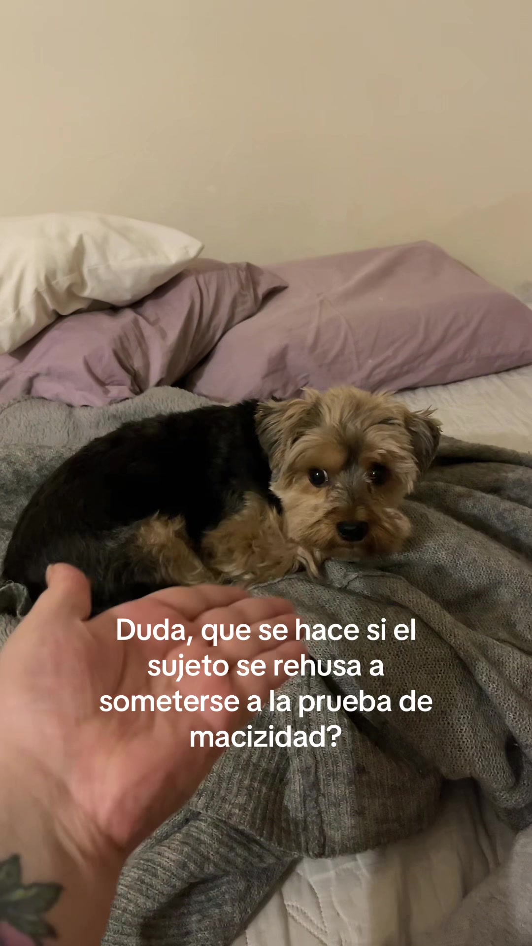 @mxlazarus⁷
