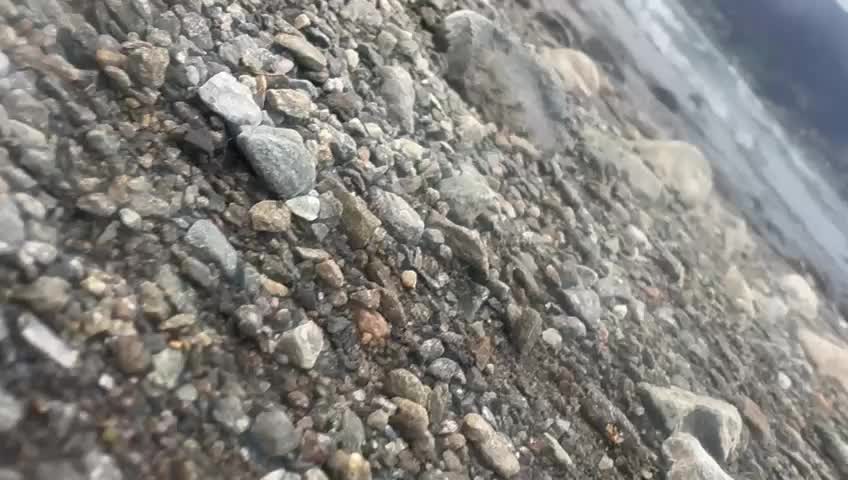@🕸️