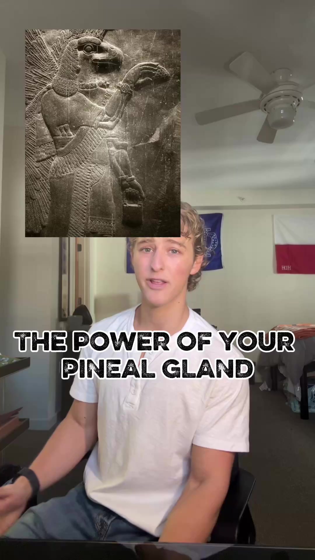 @brandonsbrainwave