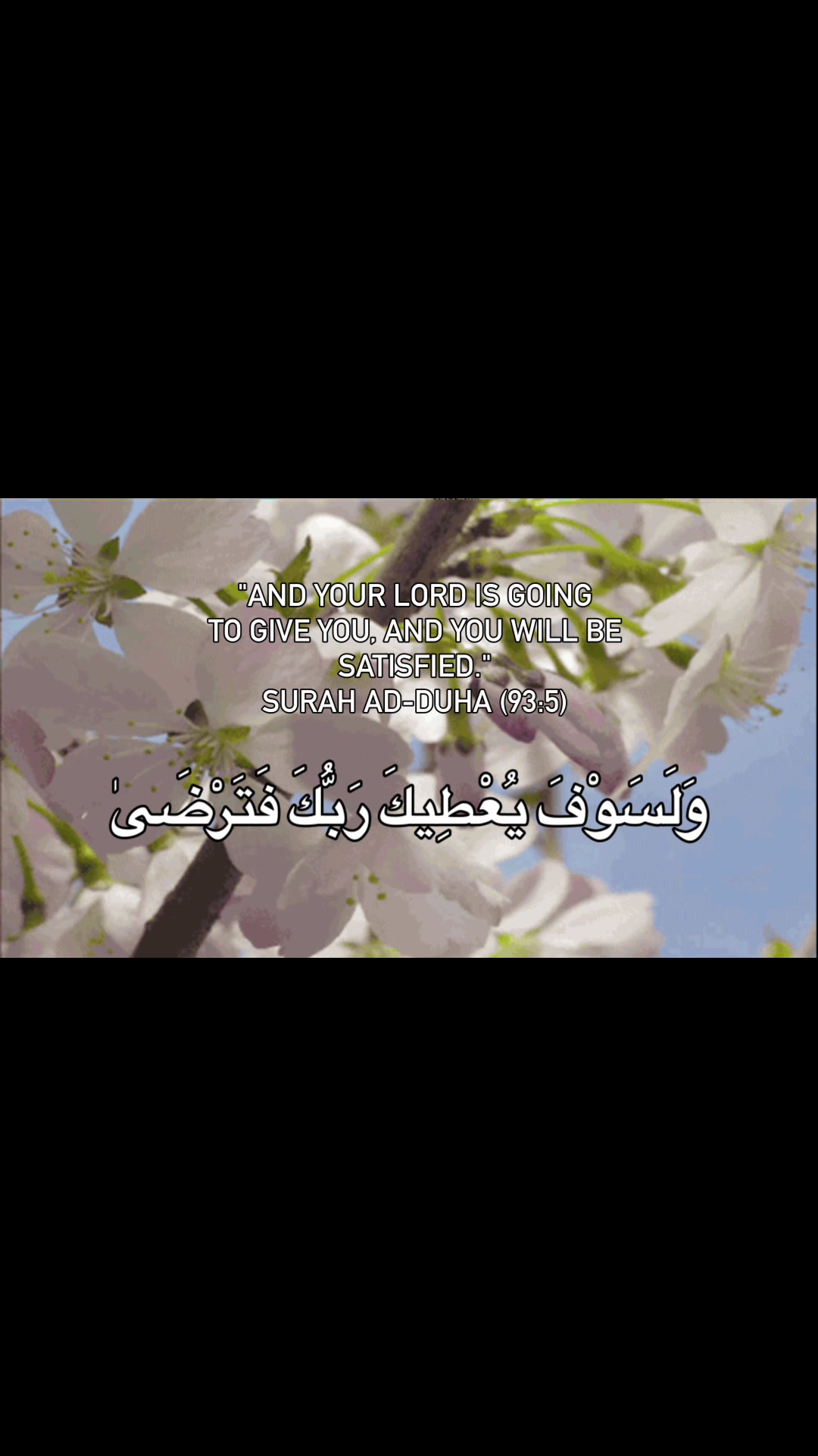 @The Safeer Arabic School