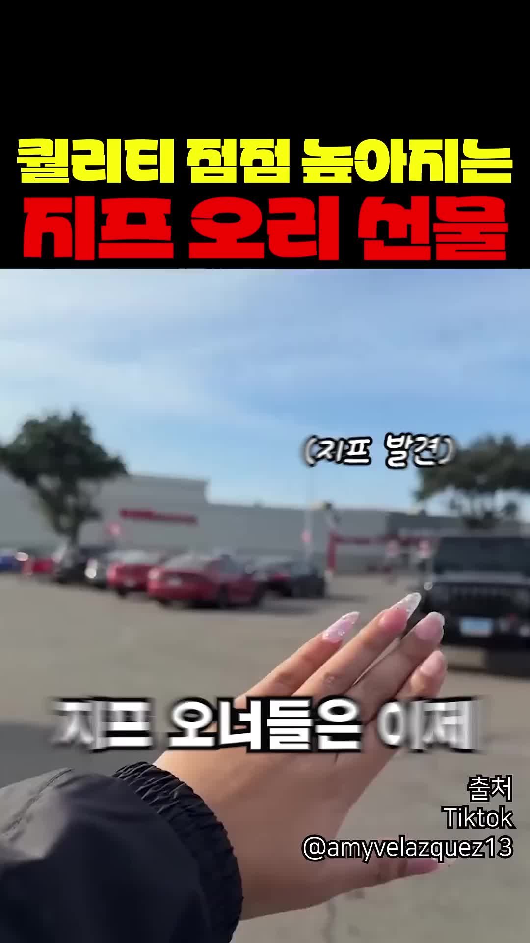 @짱아까미