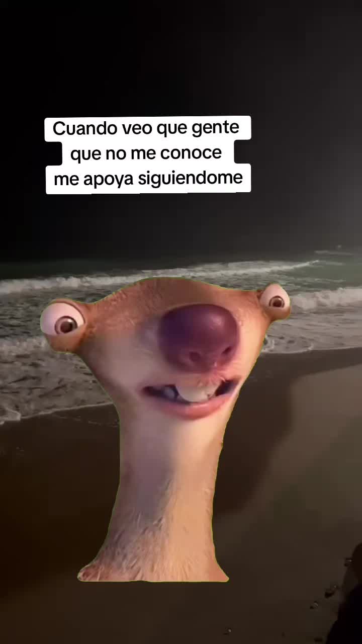 @David Quintanilla Lino