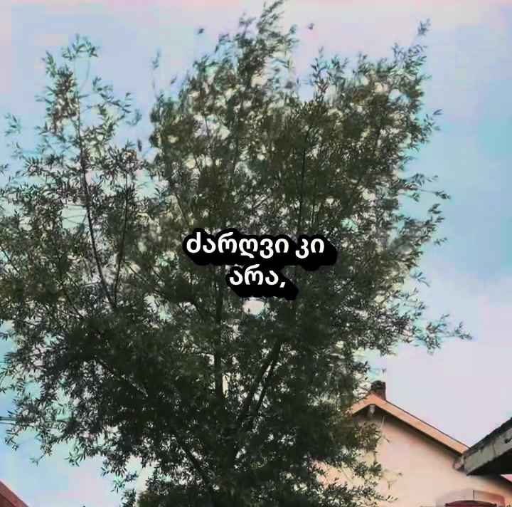 @๐๐๐๐ข๐ฃ