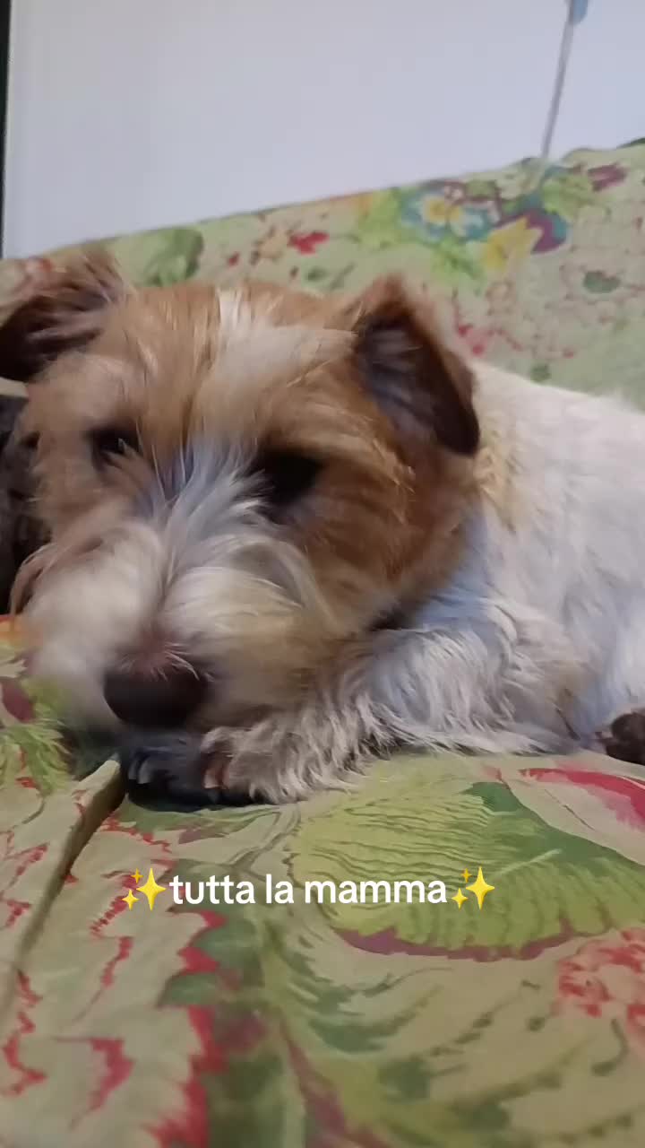 @ilaria autorino